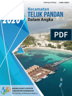 Kecamatan Teluk Pandan Dalam Angka 2020