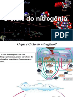 Ciclo Do Nitrogênio