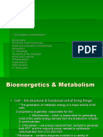 Bioenergetics and Metabolism