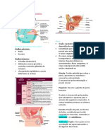 CicloReproduçãoHumana