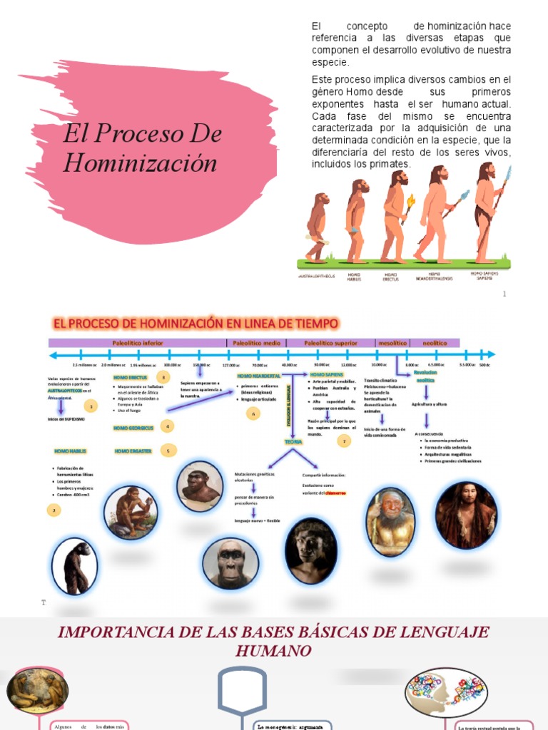 Lnea Del Tiempo De La Evolucin Humana Linea Del Tiempo 1