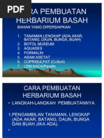 Download Cara Pembuatan Herbarium Basah by Jtl Pamungkas SN57124868 doc pdf