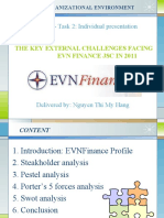 MBA405 - Task 2: Individual Presentation: The Key External Challenges Facing Evn Finance JSC in 2011