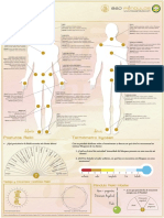 Lamina de Reiki y Radiestesia Formato A3