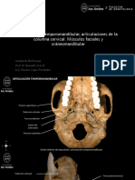 Articulación Temporomandibular, Articulaciones de La Columna Cervical. Músculos Faciales y Cráneomandibular