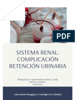 Sistema Renal - Complicación Retención Urinaria
