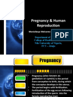 Pregnancy - Human Reproduction