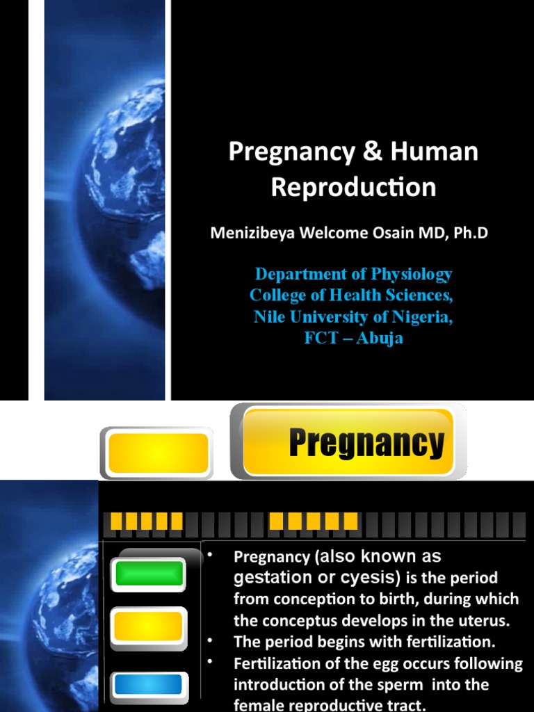 Pregnancy - Human Reproduction | PDF | Fertilisation | Twin