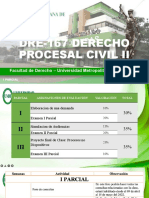 DRE-167 DERECHO PROCESAL CIVIL II