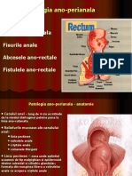 CURS Patologia Ano-perineala 1