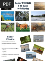 Apresentação1 hgp grupo (2)