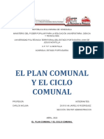 Tema 10 Plan Comunal