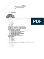 Bab II Soal Biologi kelas XI