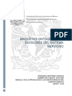 Maquetas Ontogénesis y Divisiones Del Sistema Nervioso