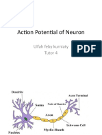 Aksi Potensial Neuron