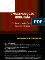 Imagenologia Urologica