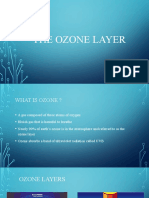 The Ozone Layer