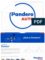 Manual de Vendedor Pandero 2021-1
