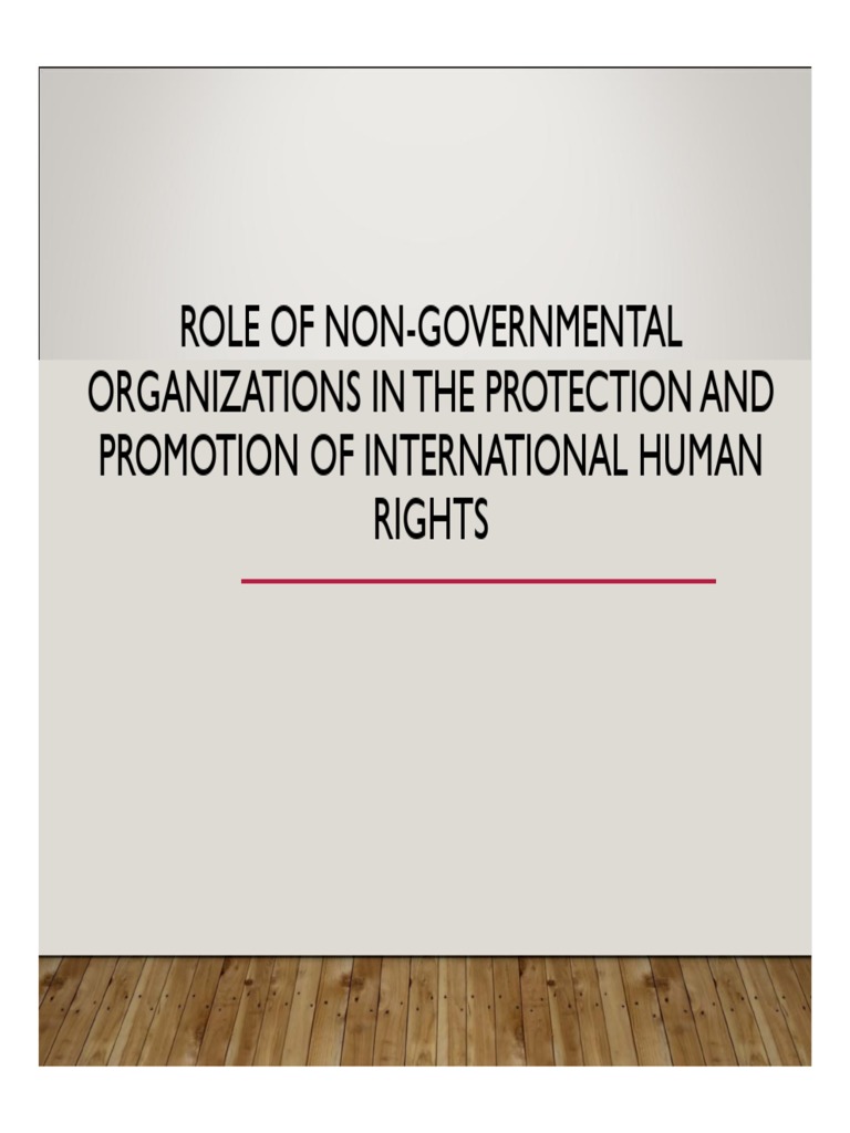 NGOs in Human Rights Protection | PDF | Non Governmental Organization ...