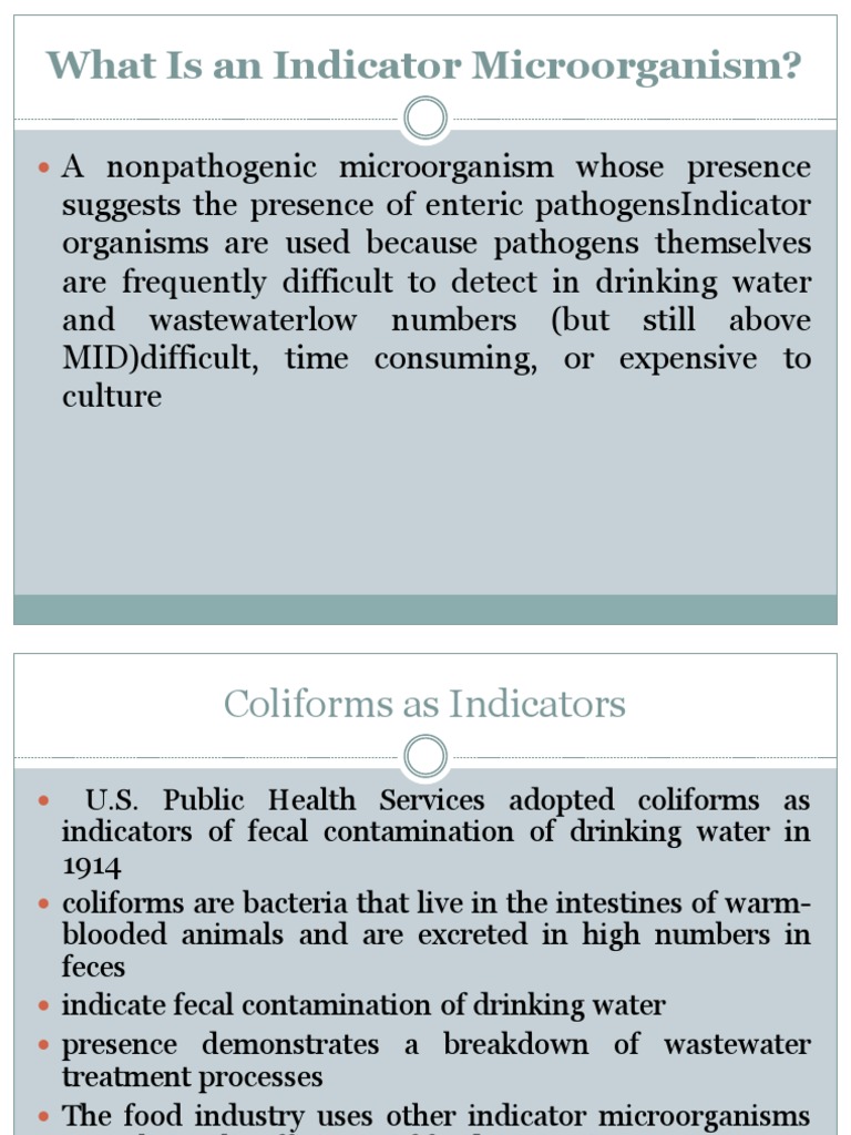 Indicator Organisms PDF Bacteria Microbiology