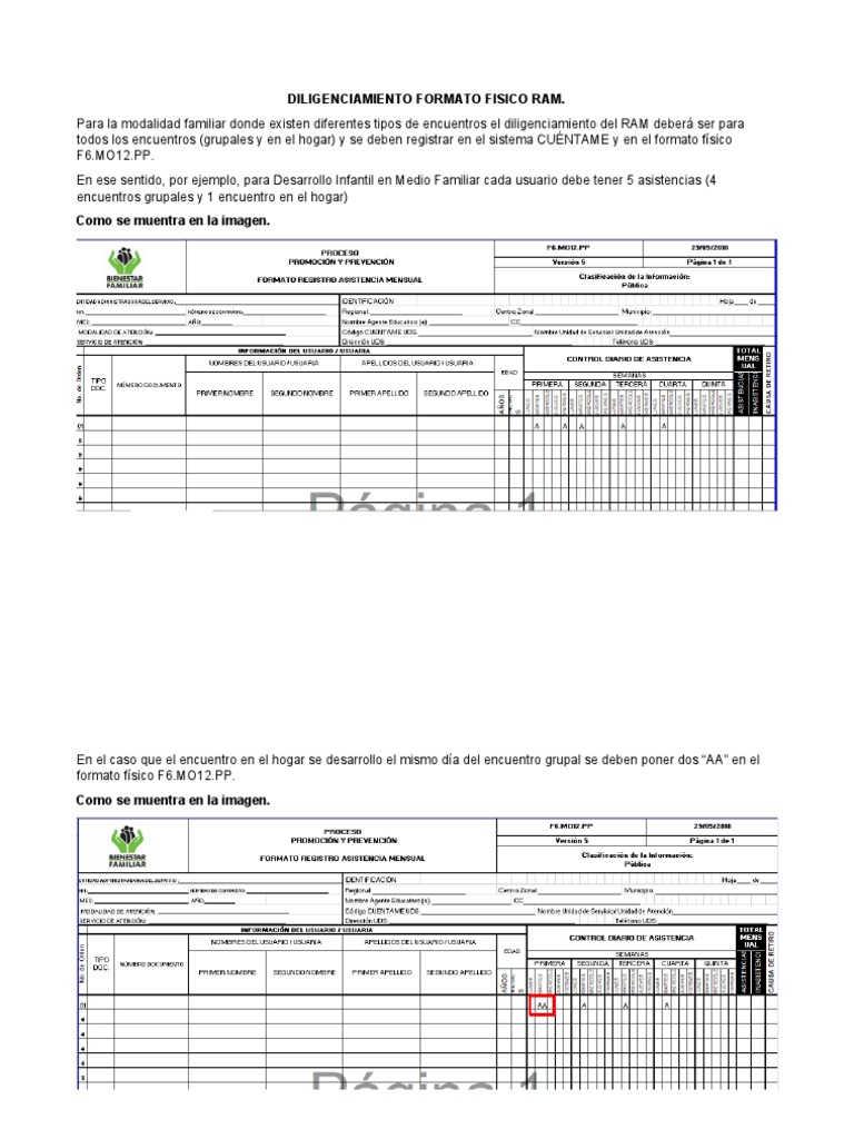 Diligenciamiento Formato Fisico Ram | PDF