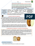 Fortalece tu sistema inmunológico de forma natural