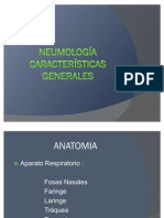 Clase_2_-_Anatomia_y_Semiologi (1)