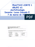 Presentacion Examen Practico A 1