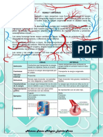 TRABAJO VENAS Y ARTERIAS en PDF