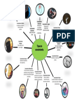 Tipos de Conocimiento Mapa Mental