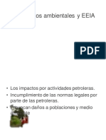 TEMA1 Impacto Ambiental y EEIA