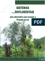 Sistemas Agroflorestais Uma Alternativa Para Manter a Floresta Em Pé