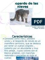 El Leopardo de Las Nieves