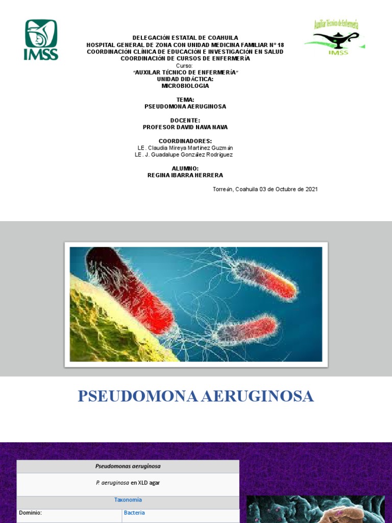 Pseudomona Aeruginosa | PDF | Pseudomonas Aeruginosa | Pseudomonas
