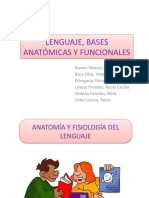 Anatomia y Fisiologia Del Lenguaje