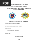 ORGANIZACIONES ETNICAS