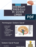 Kuliah Anatomi Blok 6. Cerebrum, Cerebellum Dan Sistem Limbik (Dr. Reni Oktavina, M.biomed) - Dikonversi