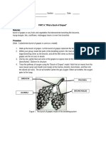 BOYLES' LAW Activity Sheets