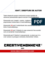 Info Copyright - Drepturi de Autor