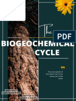 The Biogeochemical Cycle