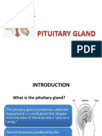 Pitutary Gland