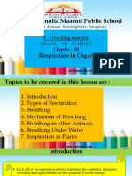 Respiration in Organism