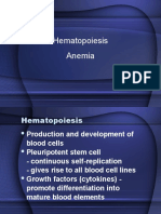Anemia Eng