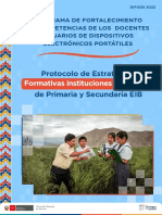 Protocolo de Las Estrategias Formativas Instituciones Educativas de Primaria y Secundaria Eib - V2