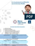 Instructivo PILOSO Asesor de Servicio PDF