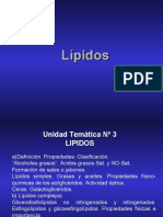 Clase de Lipidos (2)