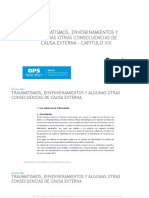 Codificacion Cie10 Traumatismos, Envenenamientos y Algunas Otras Consecuencias de Causa Externa