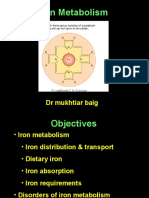 Iron Metabolism: DR Mukhtiar Baig