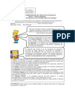 Sistema digestivo guía