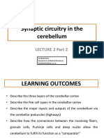 Synaptic Circuitry in The Cerebellum: Lecture 2 Part 2